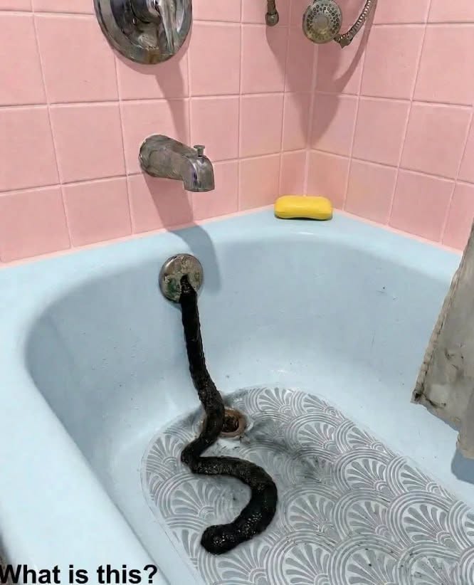 I Found Something Unusual Hanging From My Bathtub Drain—Here’s What It Turned Out to Be