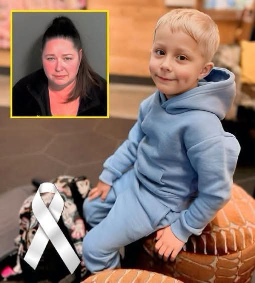 The Silence That Nearly Stole My Grandson: How One Terrifying Afternoon Changed Everything Forever