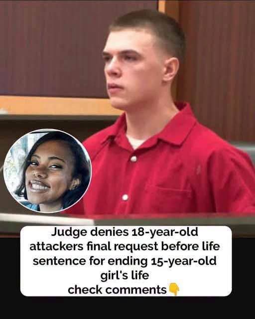 This is such a heartbreaking tragedy… 💔👇