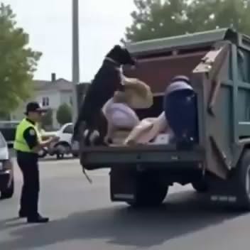 K9 Suddenly Barked at a Passing Garbage Truck — The Discovery Inside Led to a Life-Saving Rescue of a Baby
