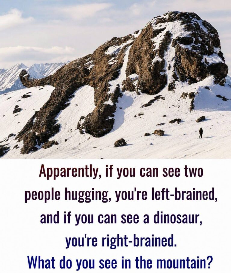 The ultimate visual brain-scan test: left-brained, right-brained ?