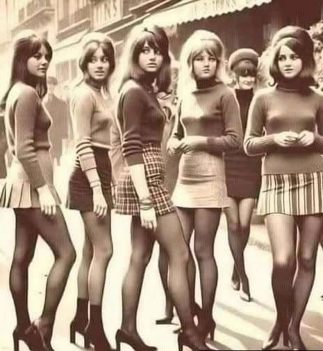 Everyone Stares at the Legs — Almost No One Notices the Real Secret