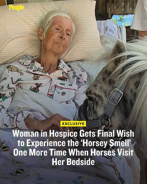 A hospice patient saw her final wish fulfilled when two horses walked up to her bedside. Click the link in the first comment for the full story