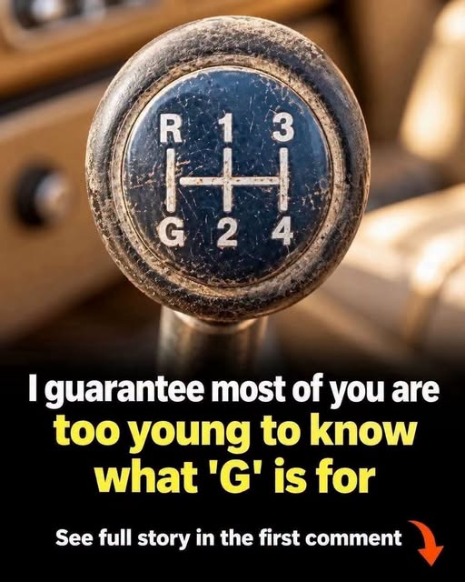 How many people have never even seen this before?!👇